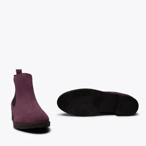 site soldes MiMaO ShopOnline PICADILLY – Bottines Chelsea AUBERGINE Pour Femme 13