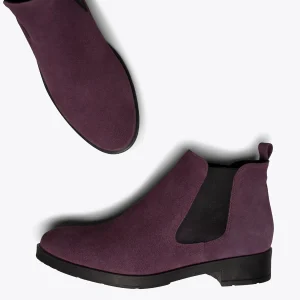 site soldes MiMaO ShopOnline PICADILLY – Bottines Chelsea AUBERGINE Pour Femme 17